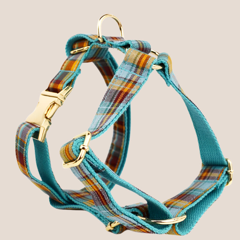Personalized Pet ID Collar, Harness Leash & Accessories Set Teal Plaid