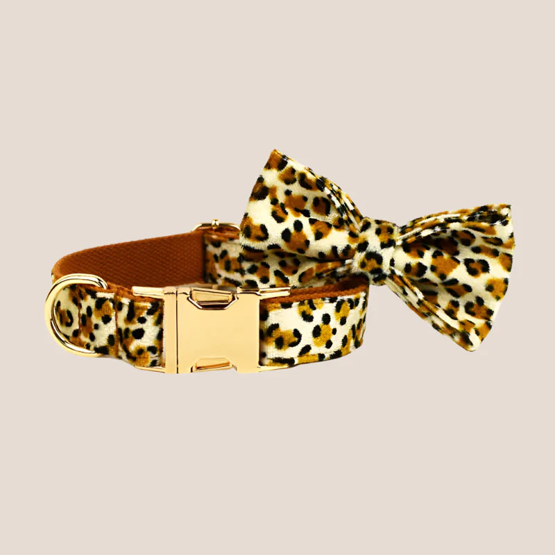 Personalized Pet ID Collar, Harness Leash & Accessories Set Royal Leopard Velvet