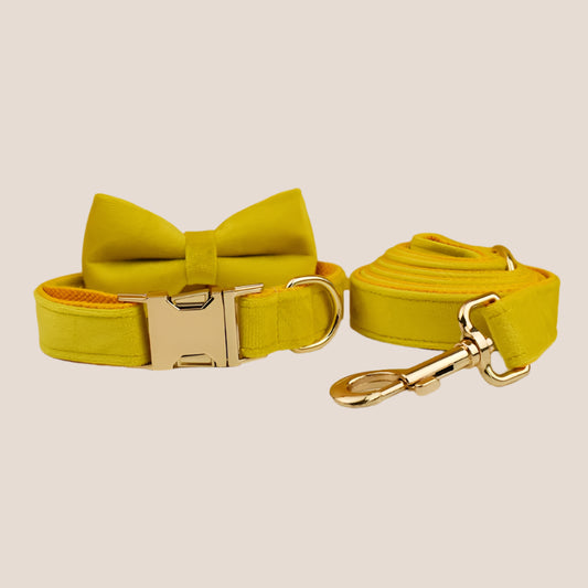 Personalized Pet ID Collar, Harness Leash & Accessories Set Yellow Velvet