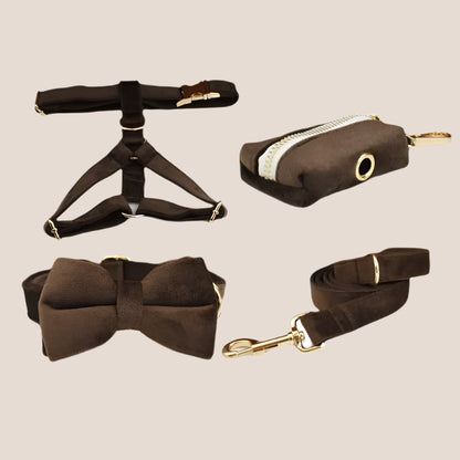 Personalized Pet ID Collar, Harness Leash & Accessories Set Brown Velvet