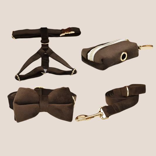 Personalized Pet ID Collar, Harness Leash & Accessories Set Brown Velvet