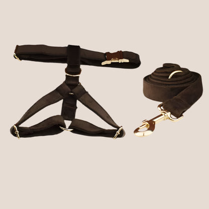 Personalized Pet ID Collar, Harness Leash & Accessories Set Brown Velvet