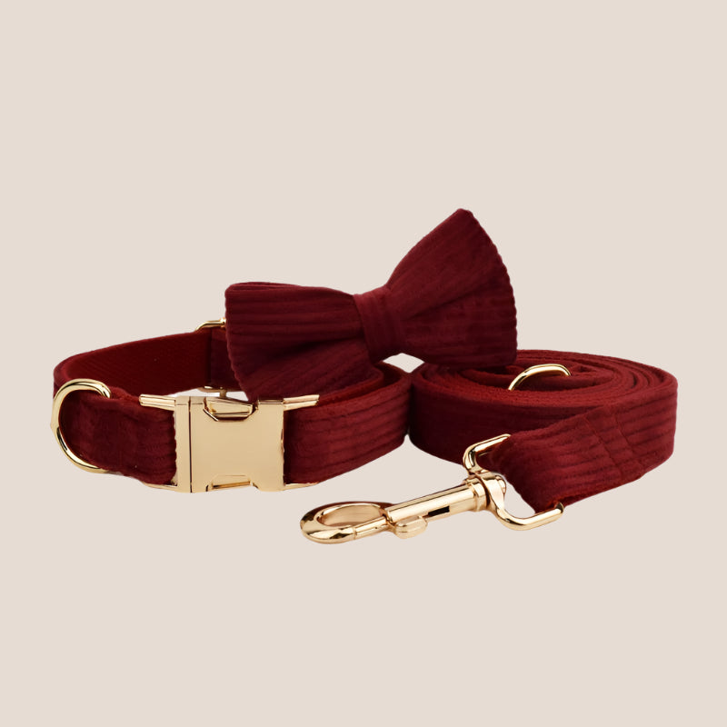 Personalized Pet ID Collar, Harness Leash & Accessories Set Maroon Corduroy