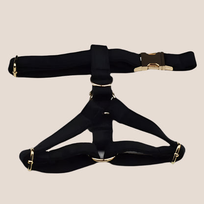 Black Velvet Engraved Pet Set