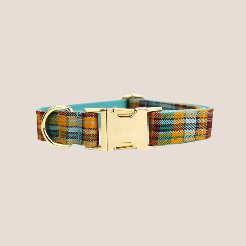 Personalized Pet ID Collar, Harness Leash & Accessories Set Teal Plaid