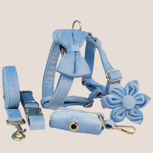 Personalized Pet ID Collar, Harness Leash & Accessories Set Light Blue Velvet