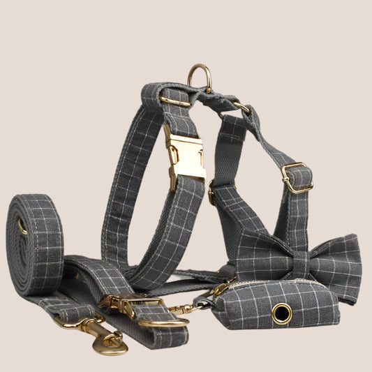 Personalized Pet ID Collar, Harness Leash & Accessories Set Grey Grid