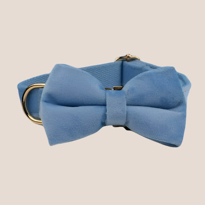 Personalized Pet ID Collar, Harness Leash & Accessories Set Light Blue Velvet