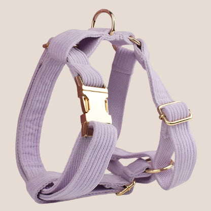 Personalized Pet ID Collar, Harness Leash & Accessories Set Lilac Corduroy