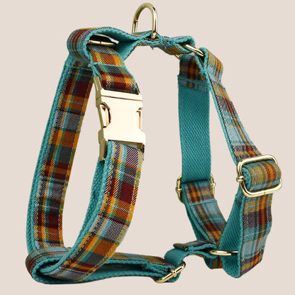 Personalized Pet ID Collar, Harness Leash & Accessories Set Teal Plaid