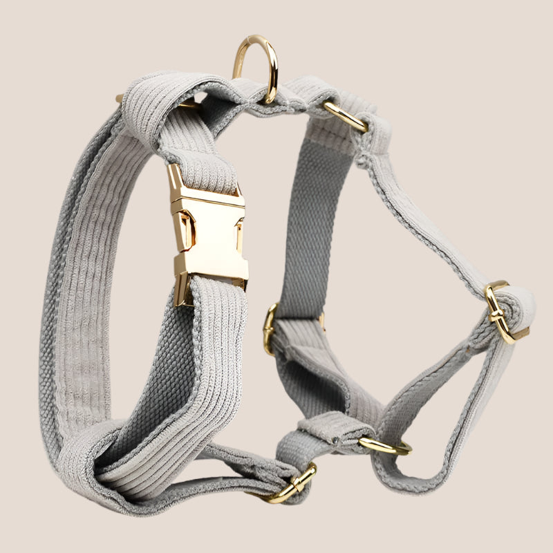 Personalized Pet ID Collar, Harness Leash & Accessories Set Grey Corduroy