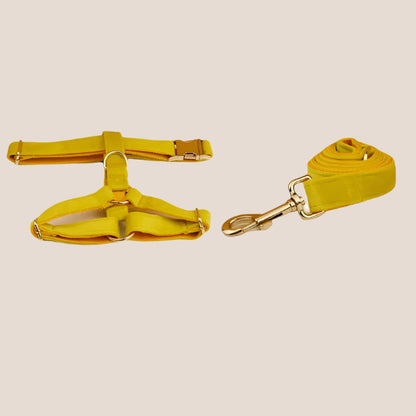 Personalized Pet ID Collar, Harness Leash & Accessories Set Yellow Velvet