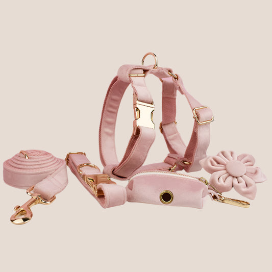 Personalized Pet ID Collar, Harness Leash & Accessories Set Pale Pink Velvet