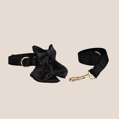 Personalized Pet ID Collar, Harness Leash & Accessories Set Black Satin