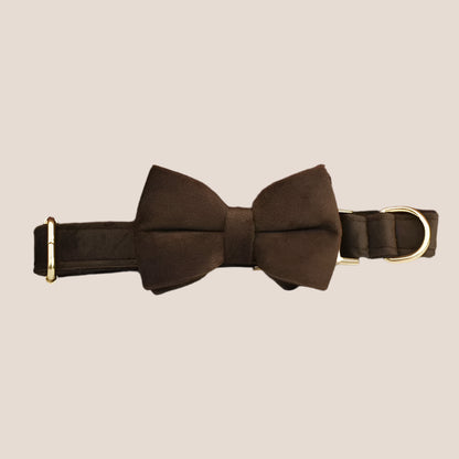 Personalized Pet ID Collar, Harness Leash & Accessories Set Brown Velvet