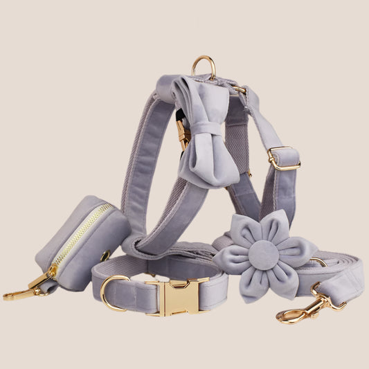 Personalized Pet ID Collar, Harness Leash & Accessories Set Lilac Velvet