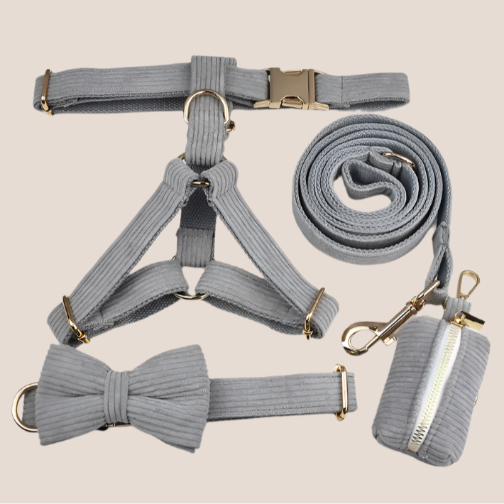 Personalized Pet ID Collar, Harness Leash & Accessories Set Grey Corduroy