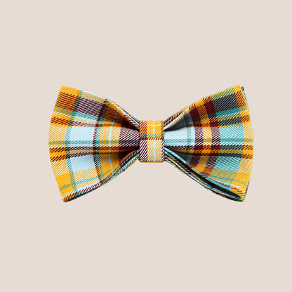 Personalized Pet ID Collar, Harness Leash & Accessories Set Teal Plaid