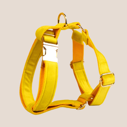 Personalized Pet ID Collar, Harness Leash & Accessories Set Yellow Velvet