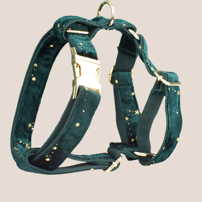 Dark Green & Gold Stars Velvet Engraved Pet Set