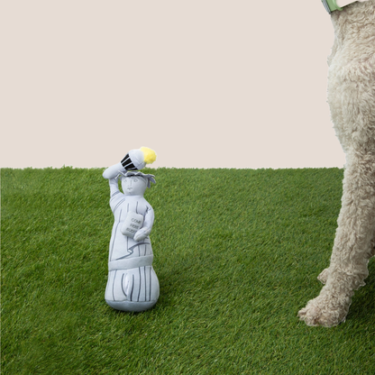 COME HERE BUDDY - Nose Work Toys