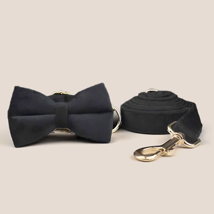 Black Velvet Engraved Pet Set