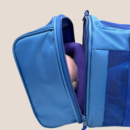 COME HERE BUDDY - Travel Buddy Pet Carriers