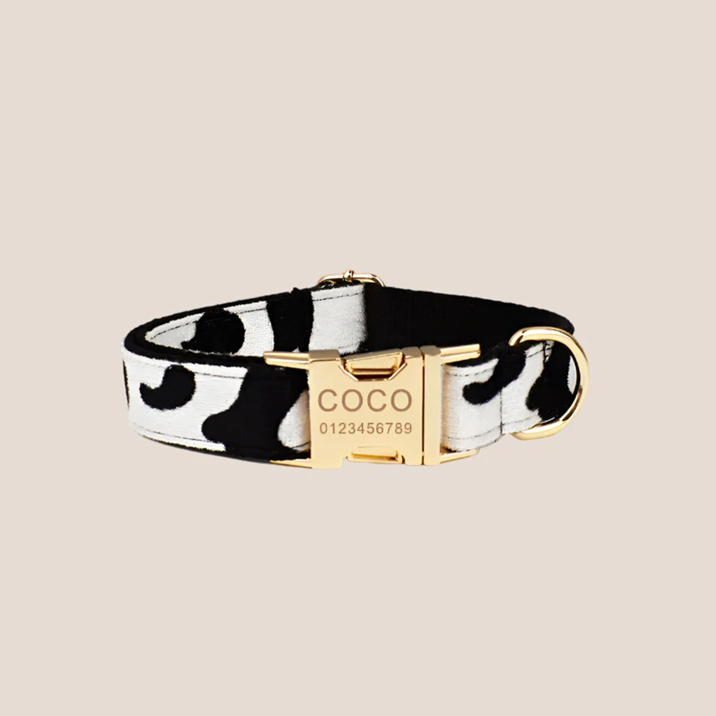 Personalized Pet ID Collar, Harness Leash & Accessories Set Cow Print Velvet