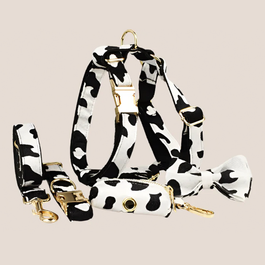 Personalized Pet ID Collar, Harness Leash & Accessories Set Cow Print Velvet