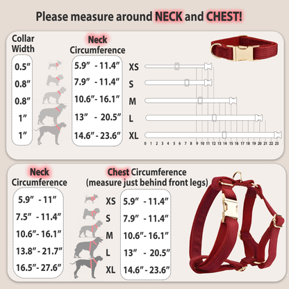 Personalized Pet ID Collar, Harness Leash & Accessories Set Yellow Velvet