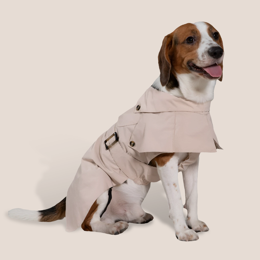 Timeless Pet Trench Coat