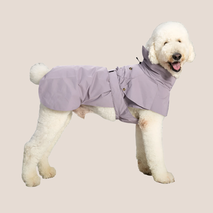 Timeless Pet Trench Coat