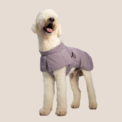 Timeless Pet Trench Coat