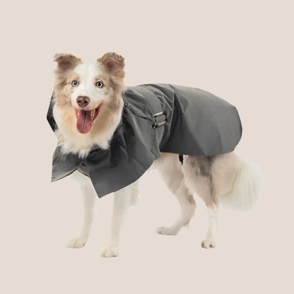 Timeless Pet Trench Coat
