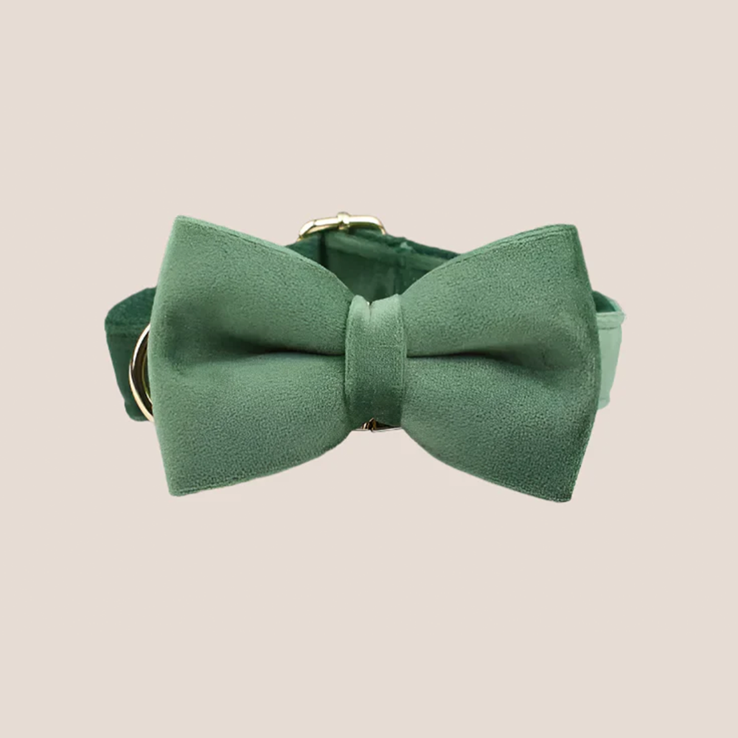 Forest Green Velvet Engraved Pet Set