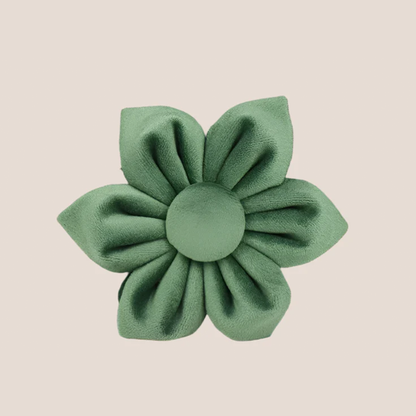Forest Green Velvet Engraved Pet Set