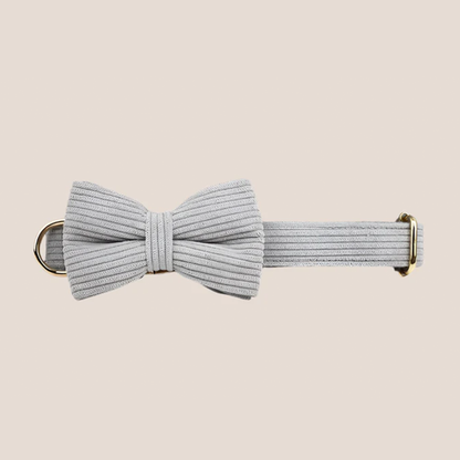 Personalized Pet ID Collar, Harness Leash & Accessories Set Grey Corduroy