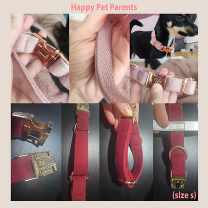 Personalized Pet ID Collar, Harness Leash & Accessories Set Yellow Velvet