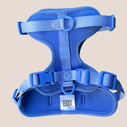 COME HERE BUDDY - Harness