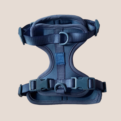 COME HERE BUDDY - Harness