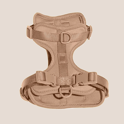 COME HERE BUDDY - Harness