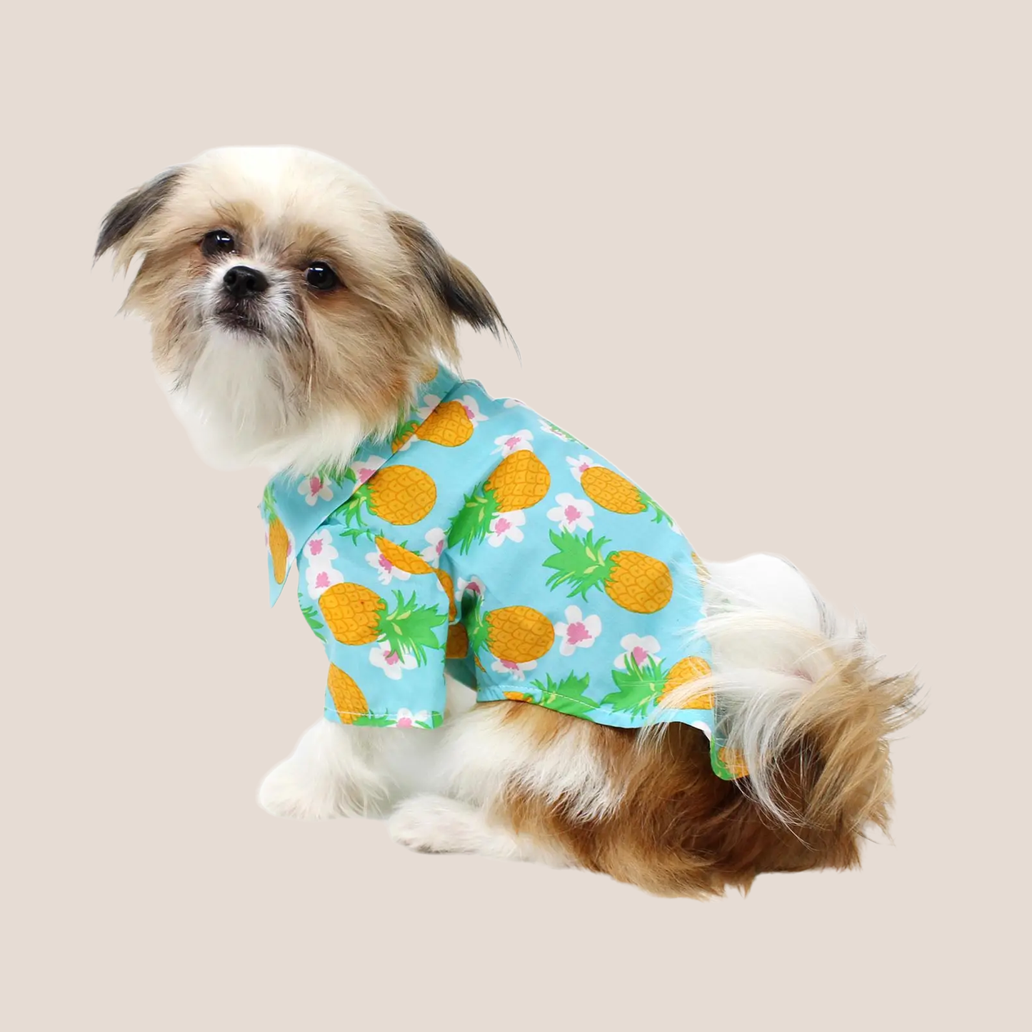 Collared Shirts - Retro Fun