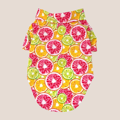 Collared Shirts - Retro Fun