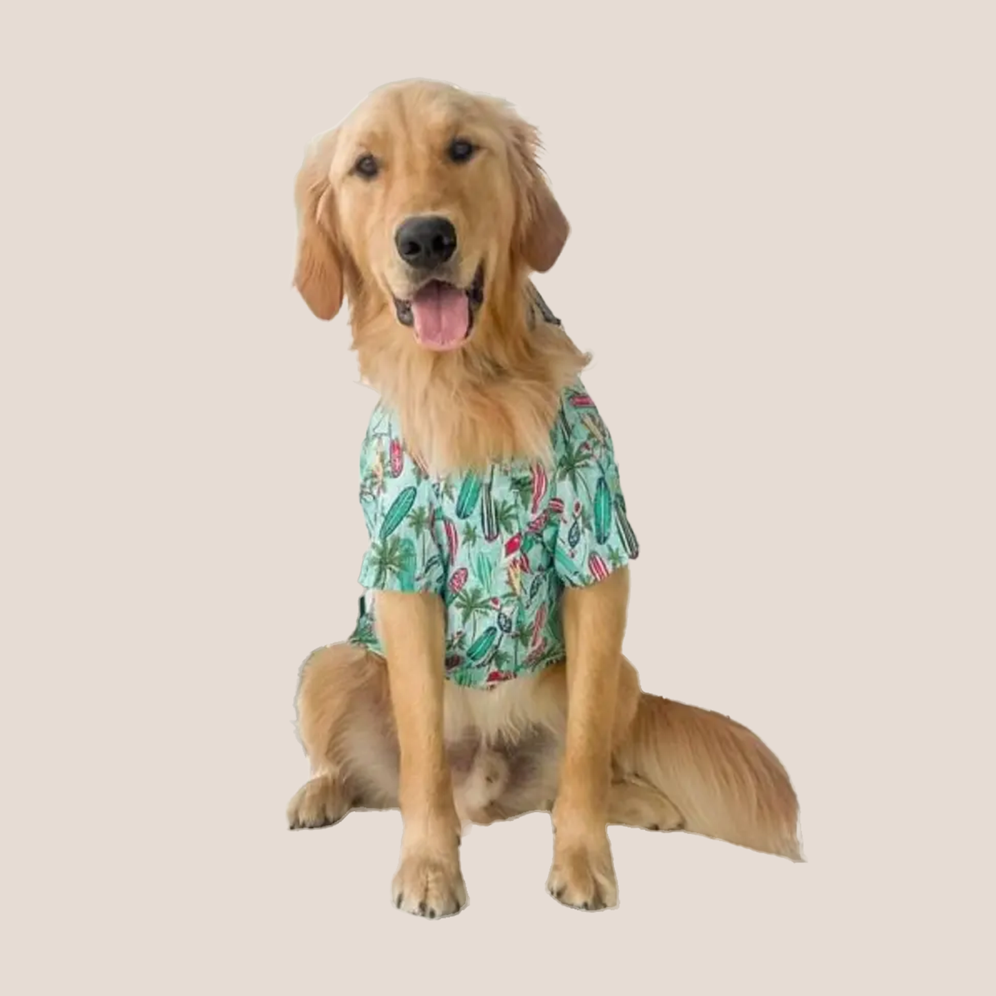Collared Shirts - Retro Fun