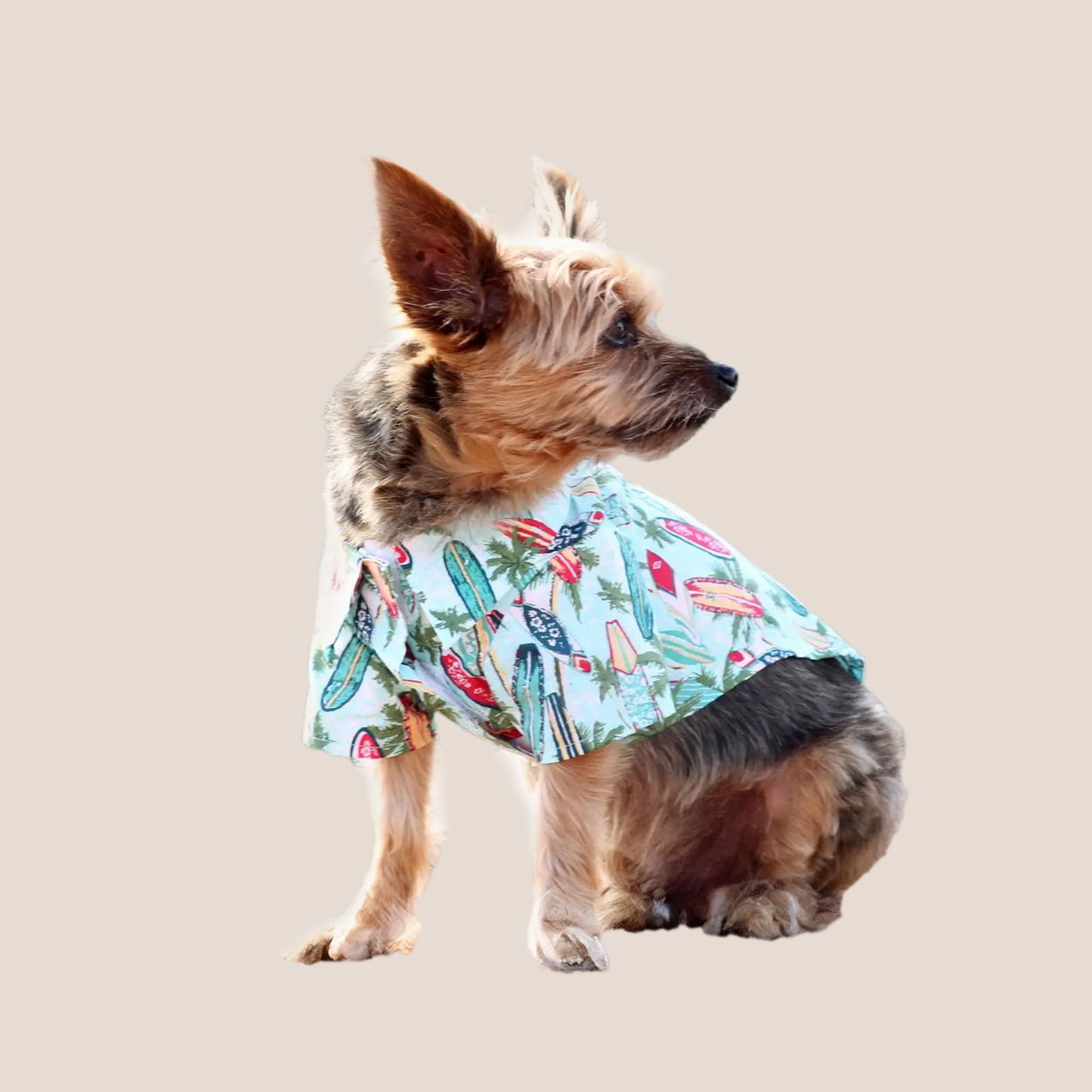 Collared Shirts - Retro Fun