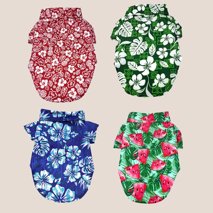 Collared Shirts - Retro Fun