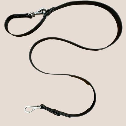 COME HERE BUDDY - Leash