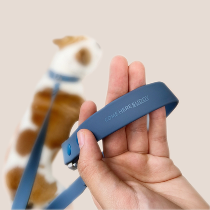 COME HERE BUDDY - Leash