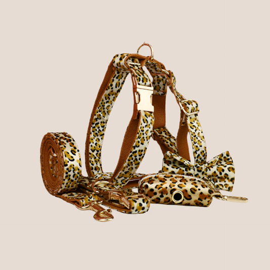 Personalized Pet ID Collar, Harness Leash & Accessories Set Royal Leopard Velvet