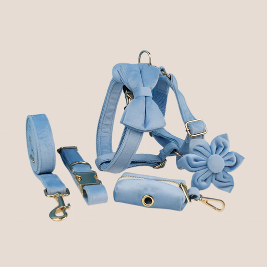 Personalized Pet ID Collar, Harness Leash & Accessories Set Light Blue Velvet